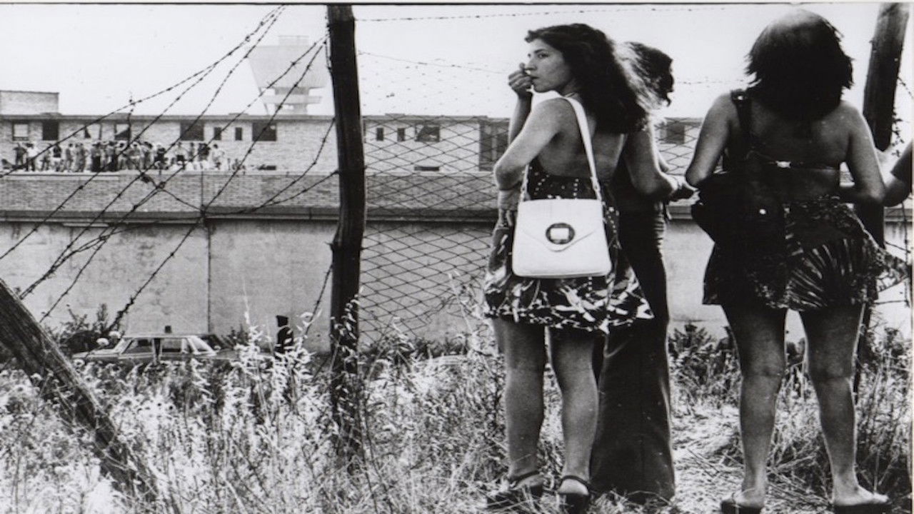 Do You Remember Revolution? backdrop