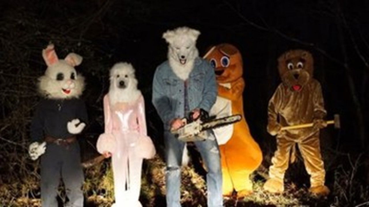 Furry Nights backdrop