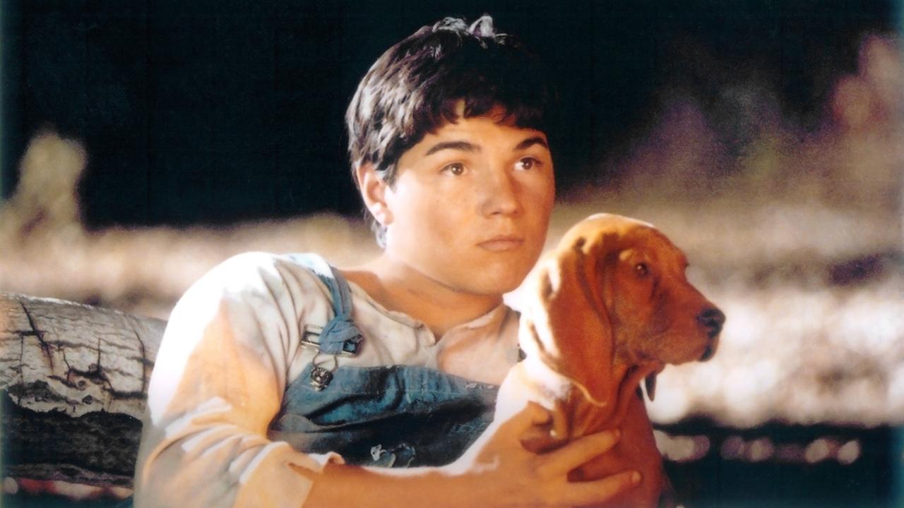 Where the Red Fern Grows backdrop