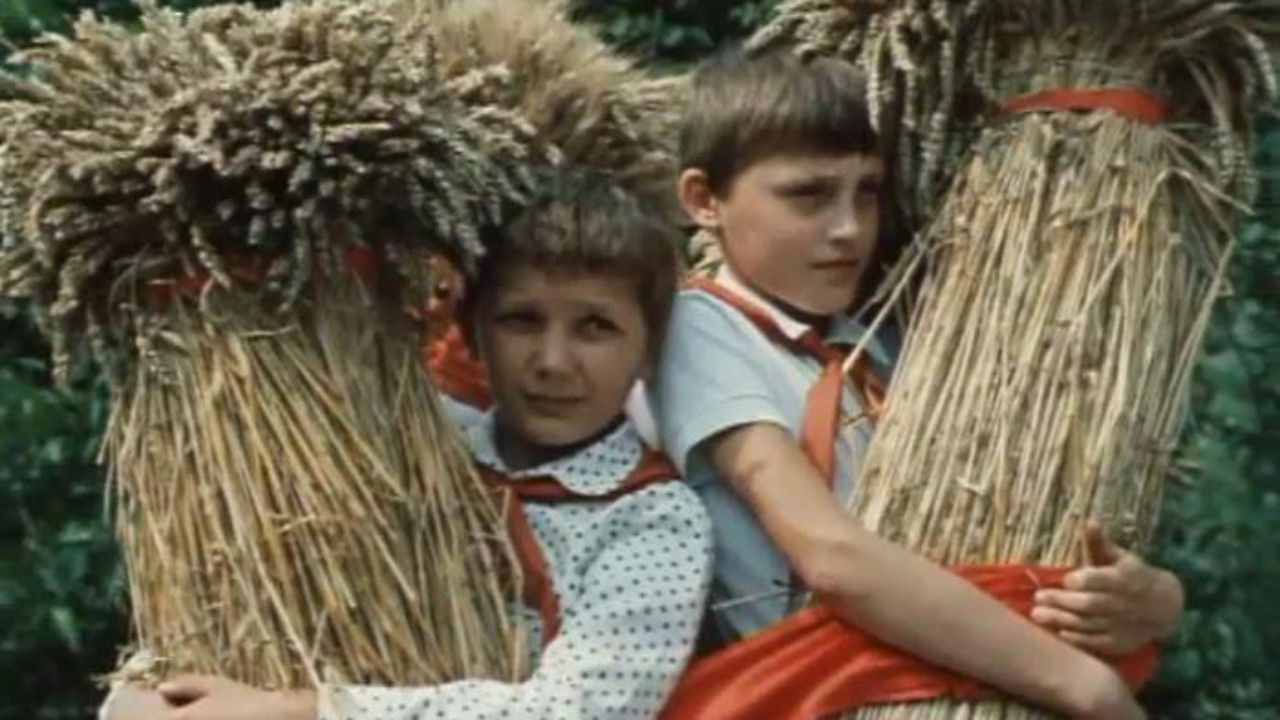 Find Your Home backdrop