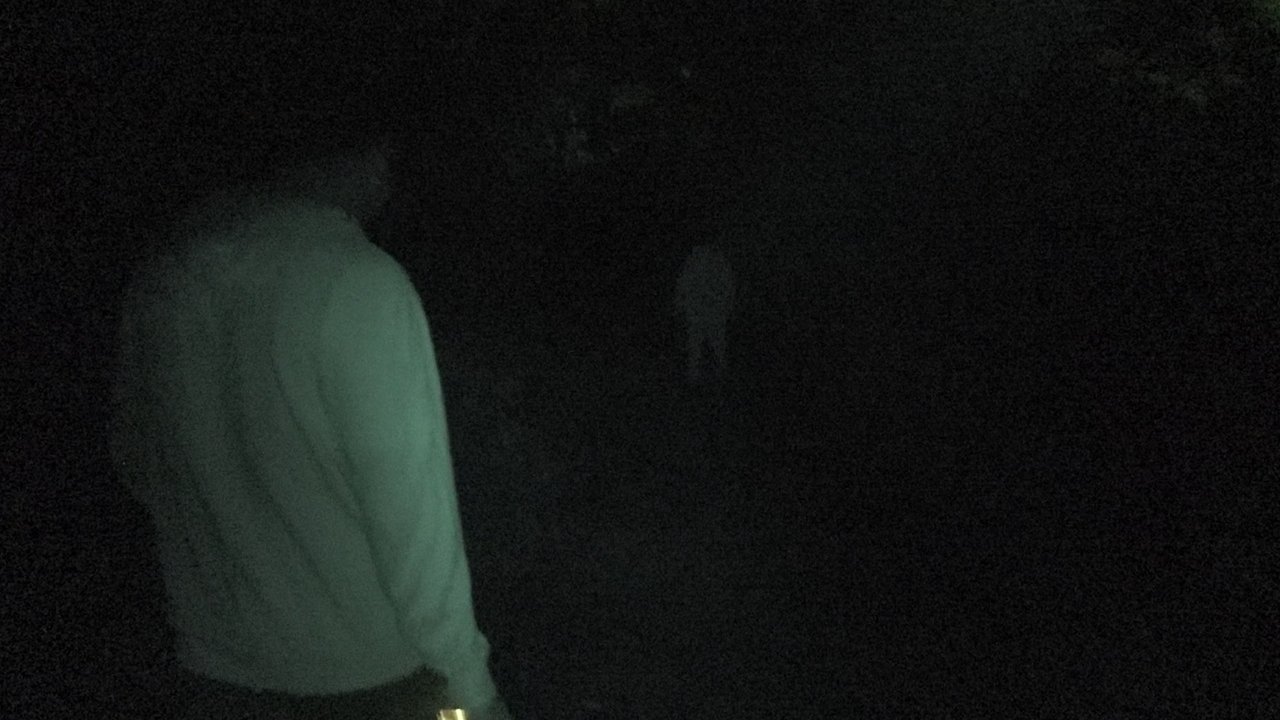 Terror Tales: Poetry & Death Volume 1 backdrop