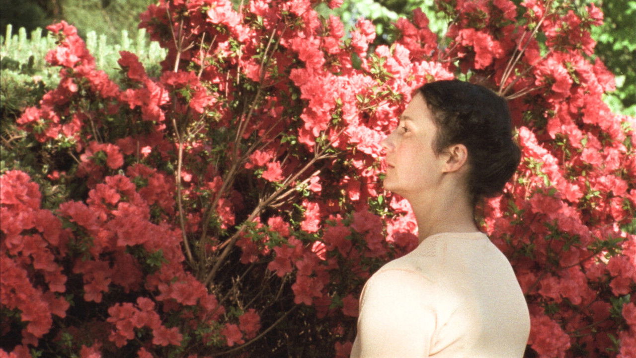 A Thousand Waves Away backdrop