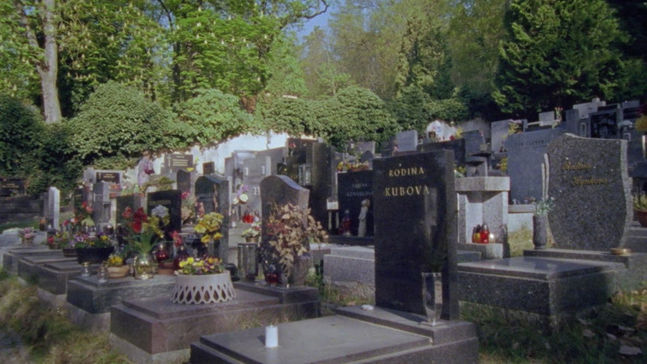 Come Closer backdrop