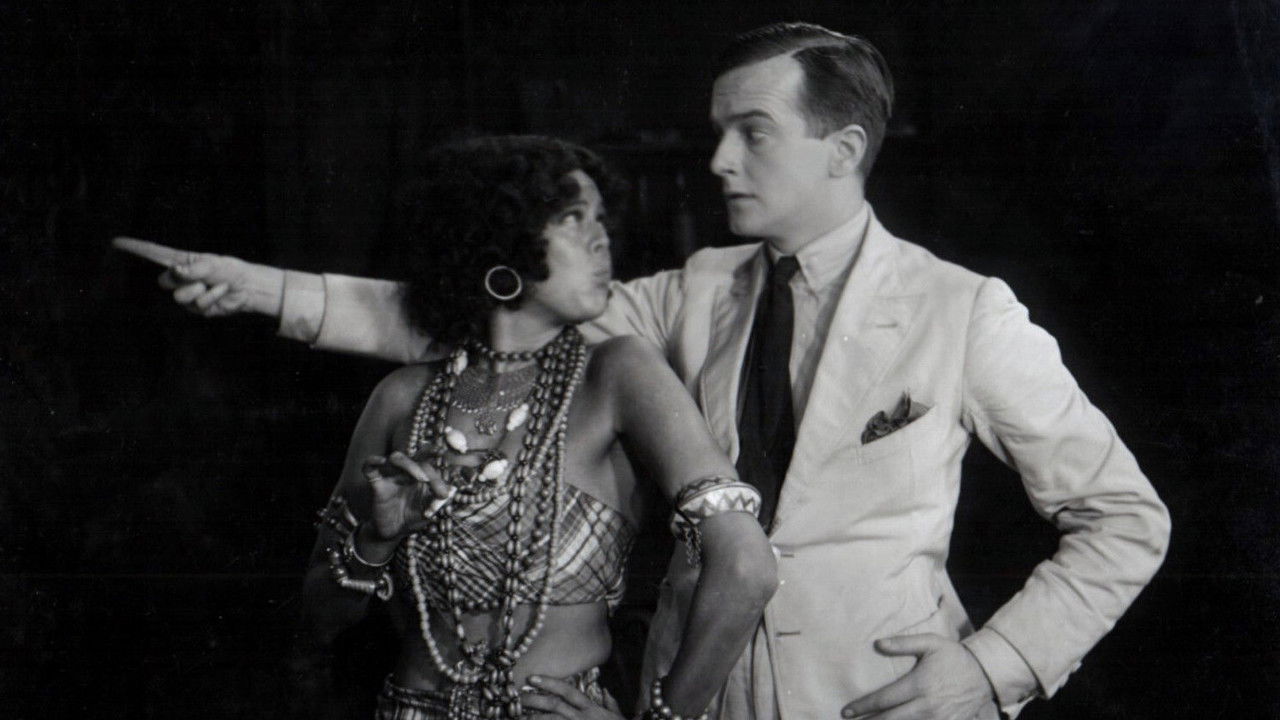 White Cargo backdrop