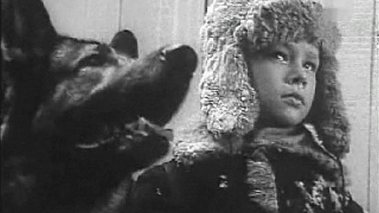 The Cropped Devil backdrop