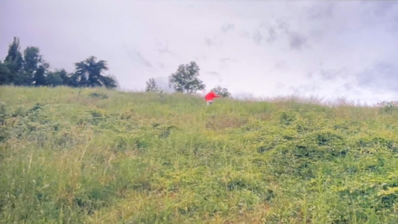 Camaraderie backdrop