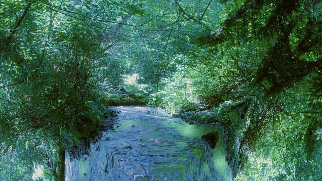 I Watched Her Grow backdrop