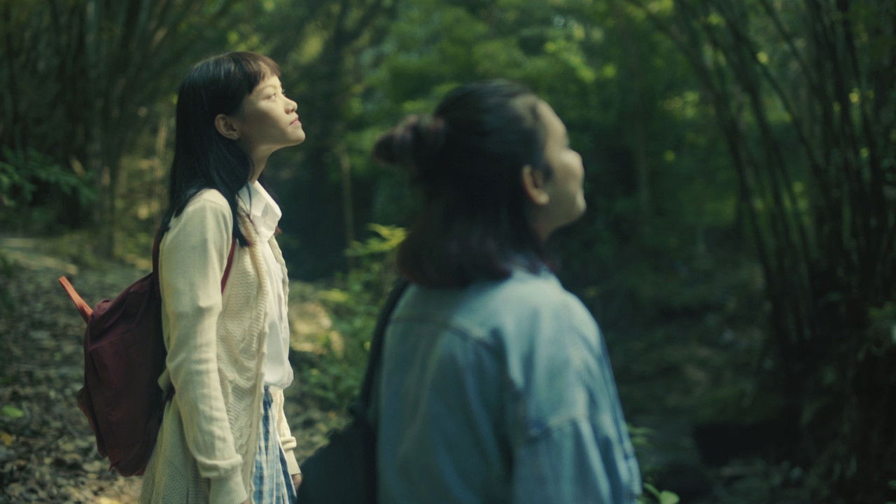 It’s in The Air backdrop