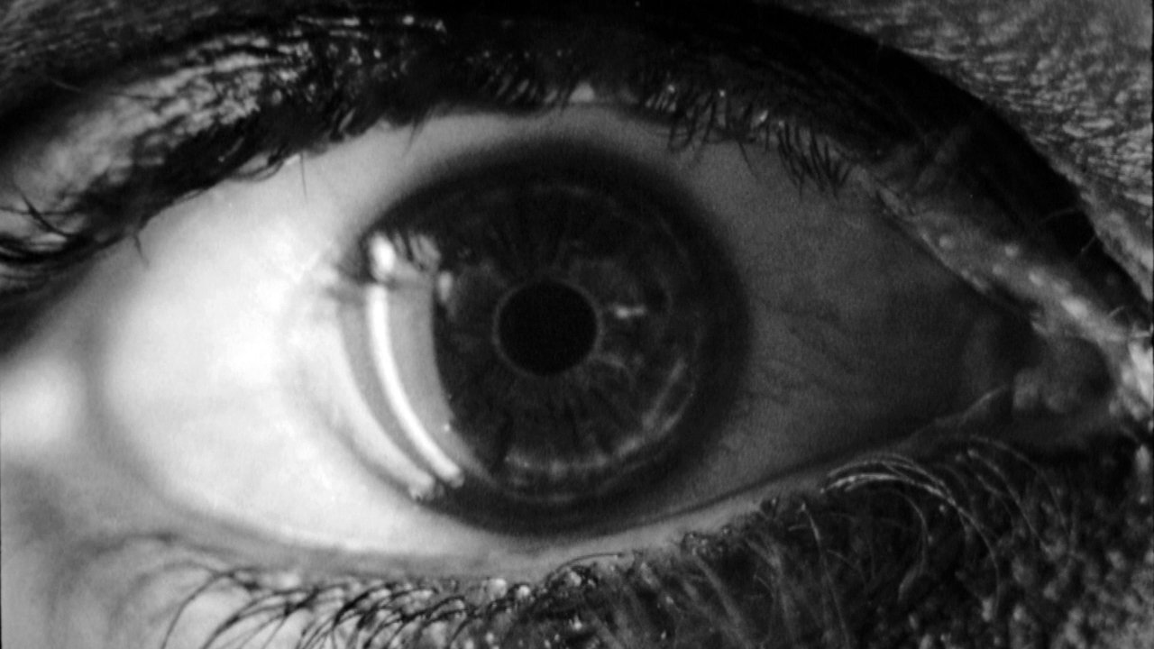 Voyage to 'Metropolis' backdrop