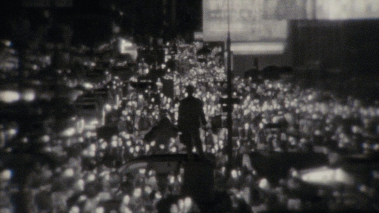 like moths to light backdrop