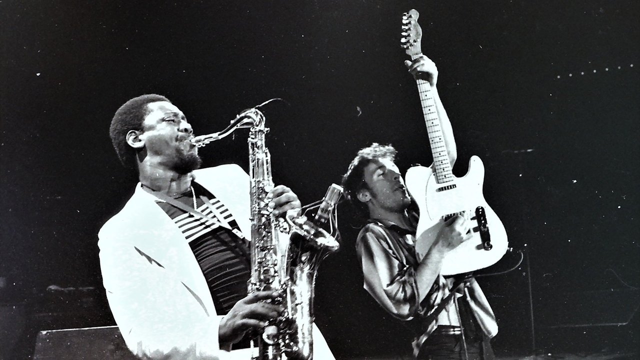 Bruce Springsteen & the E Street Band Houston '78 Bootleg: House Cut backdrop