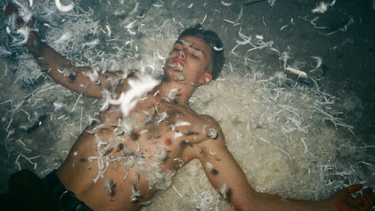 Licking Wounds backdrop