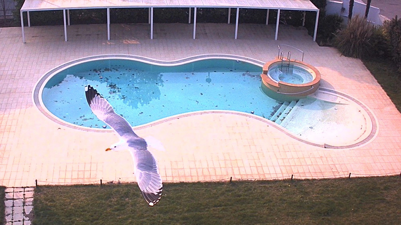 Self-Portrait backdrop