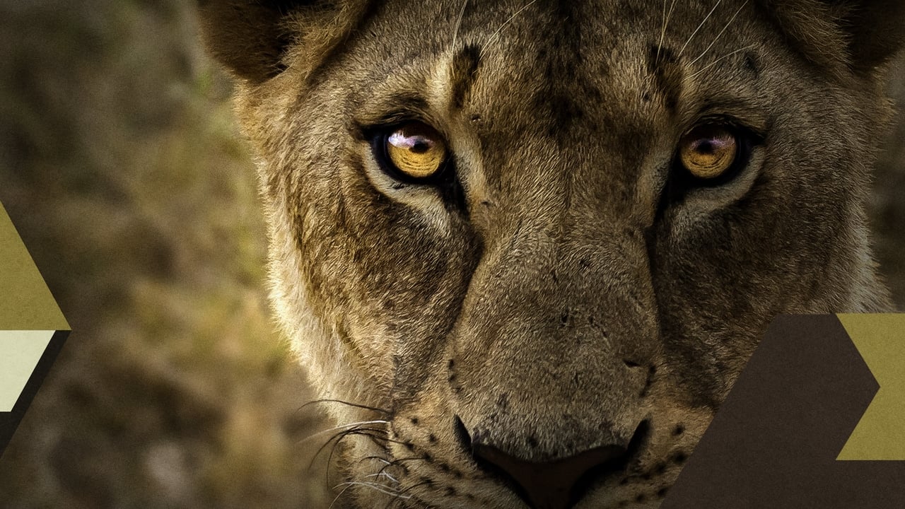 Malika the Lion Queen backdrop