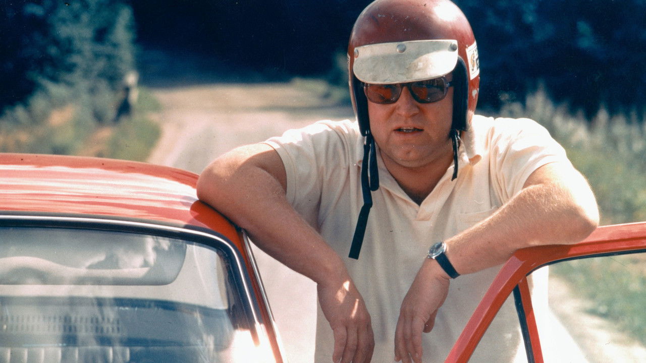 Norske byggeklosser backdrop