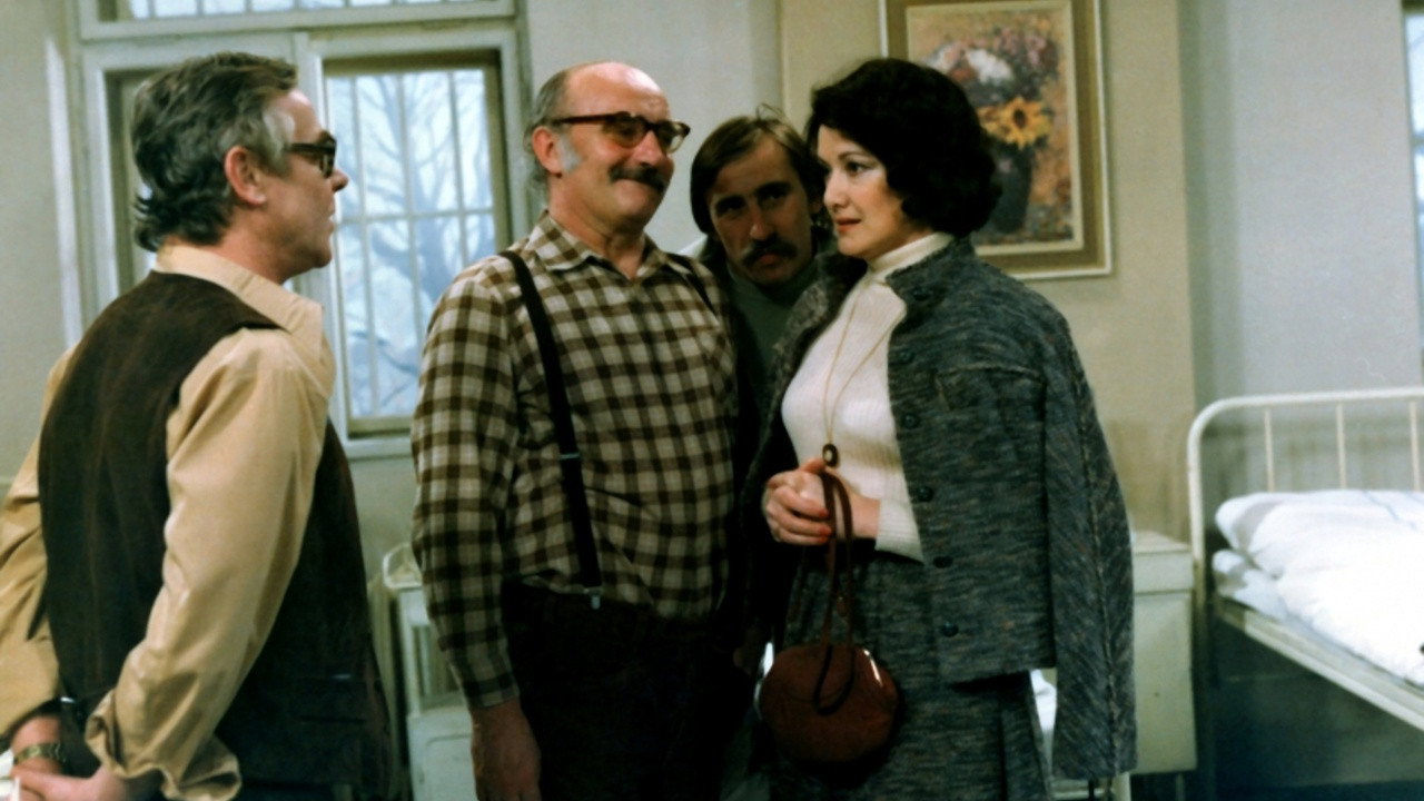 Tažní ptáci backdrop