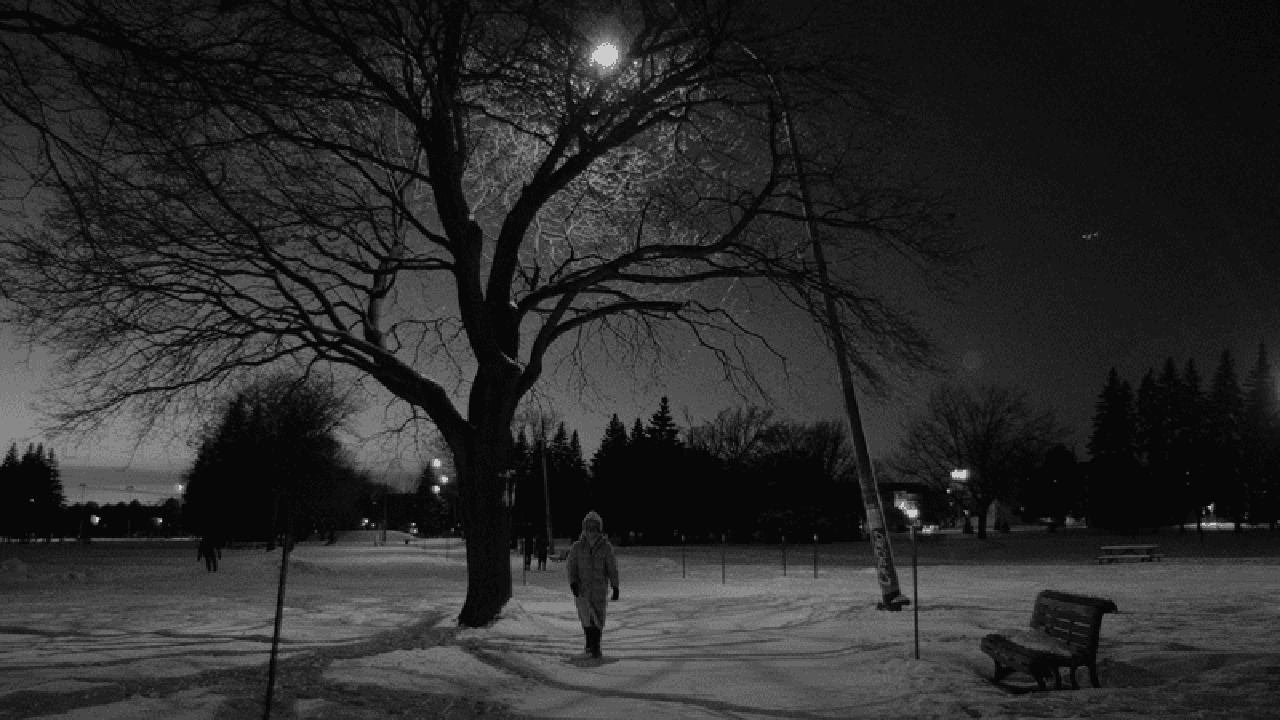 Snowflakes at the End of the World backdrop