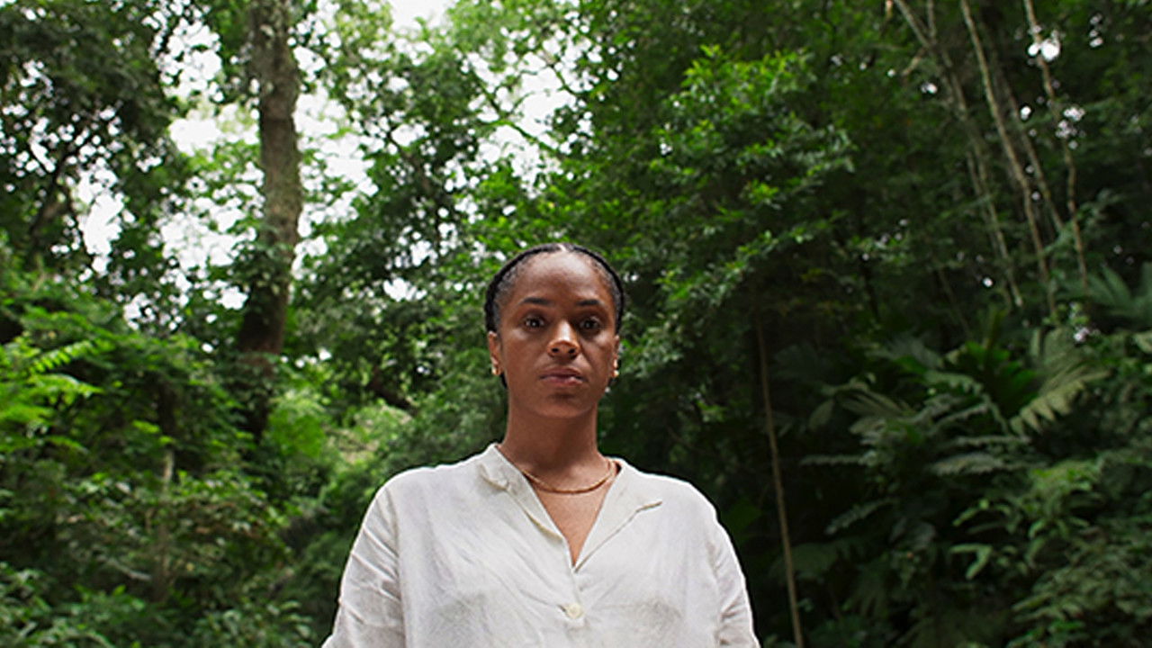 Laudelina e a Felicidade Guerreira backdrop