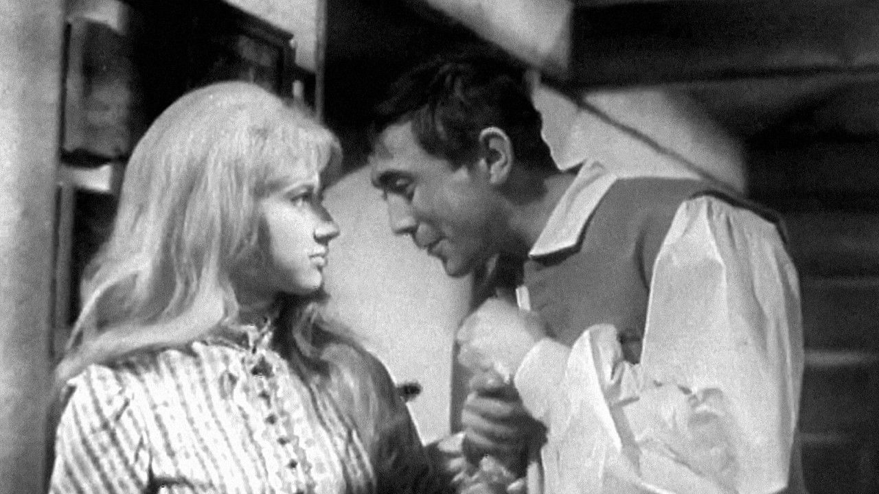 Růžová Anička backdrop