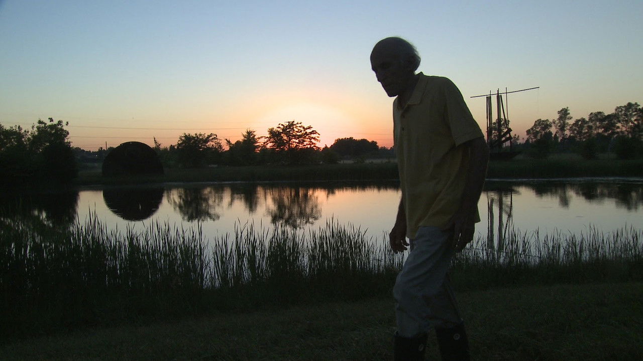 La mirada del colibrí backdrop