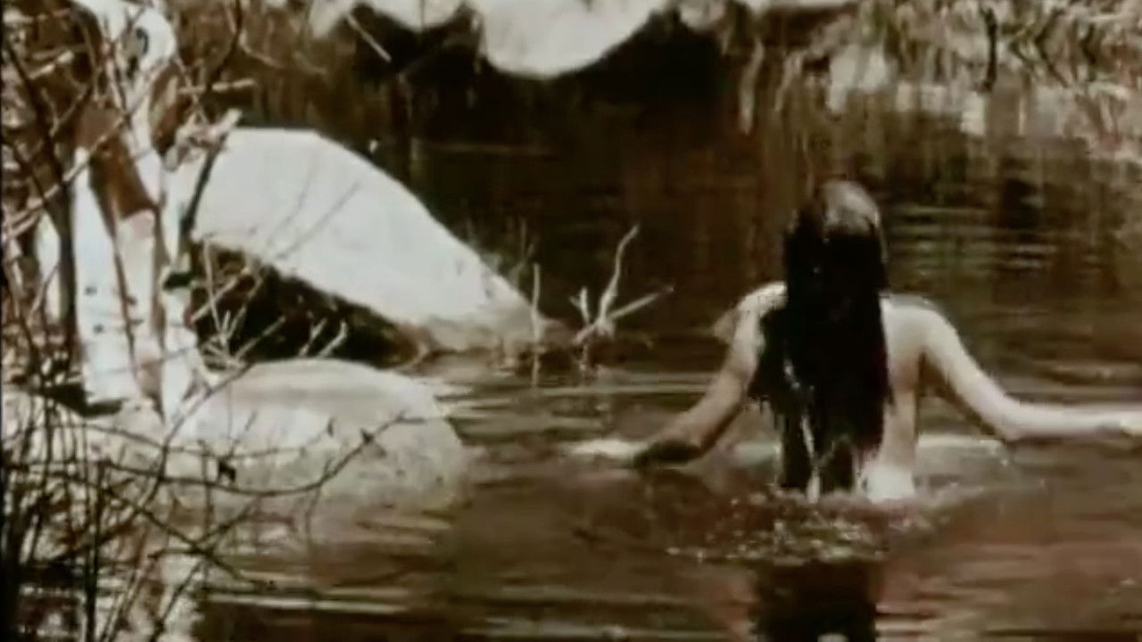 This Is My Body backdrop