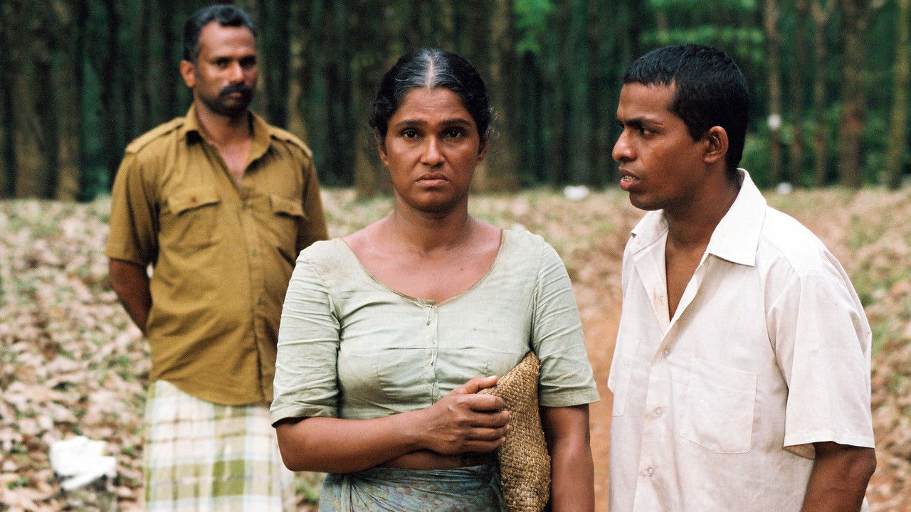 Sam's Story backdrop