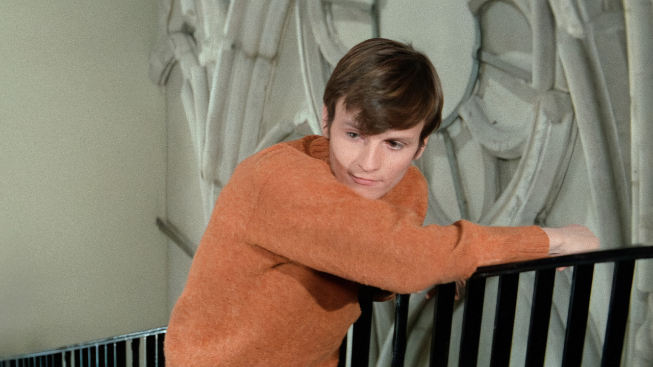 Spray of the Days backdrop