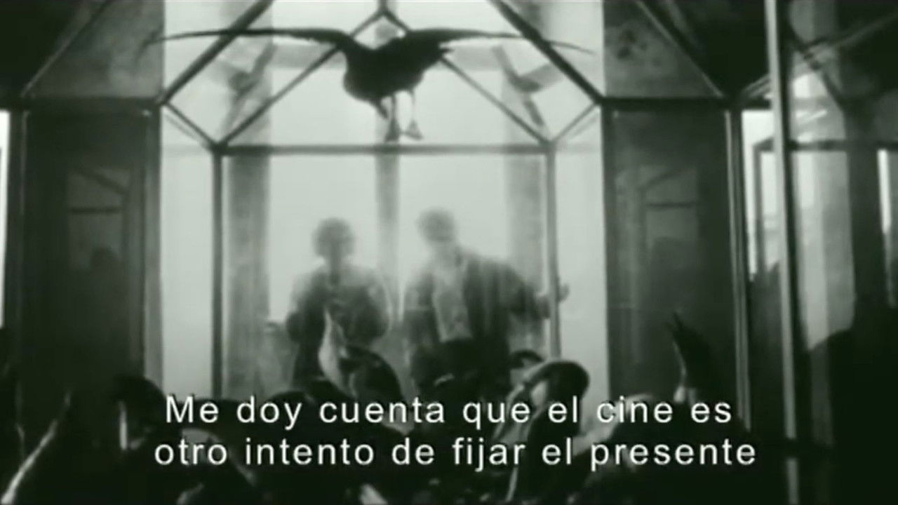 Time and Memory backdrop