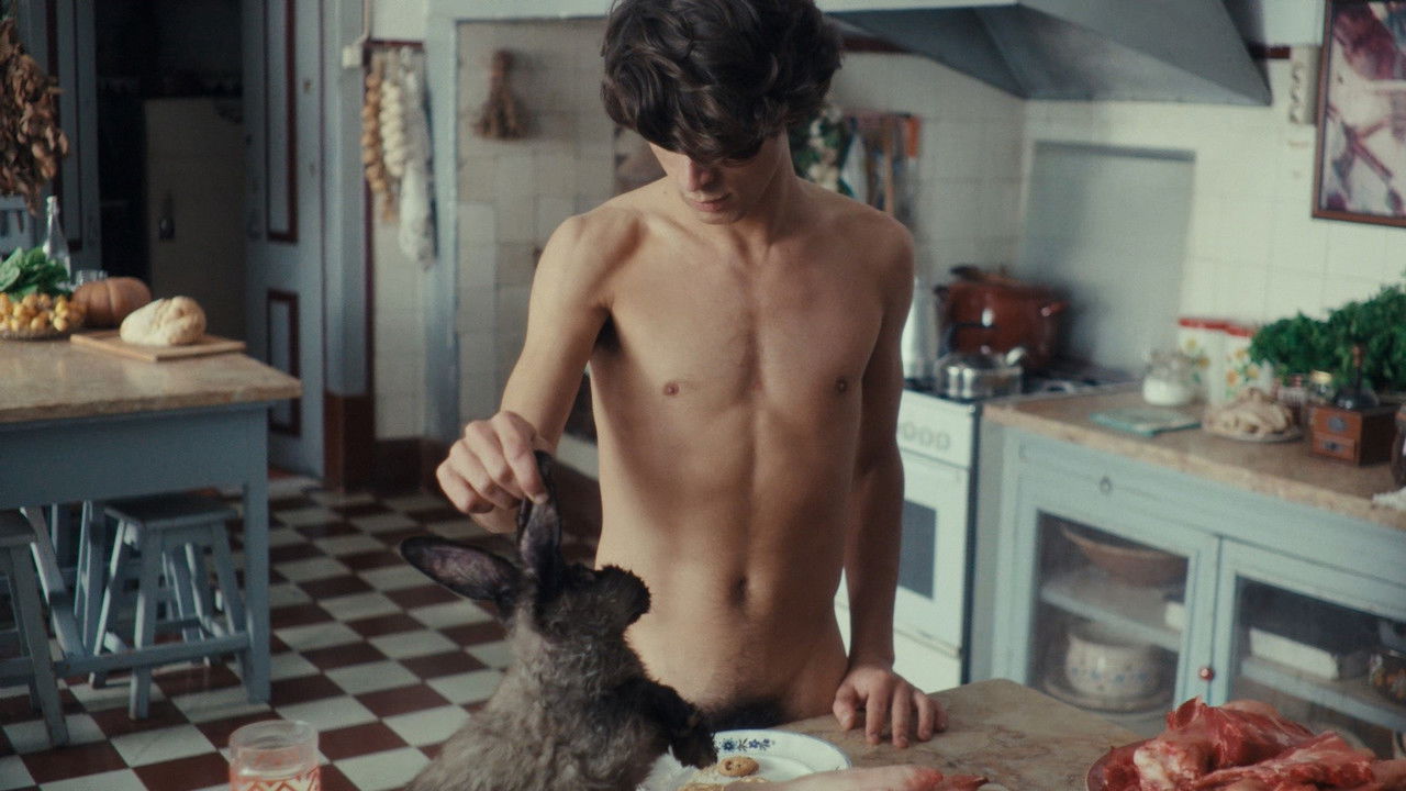 The Hunters backdrop