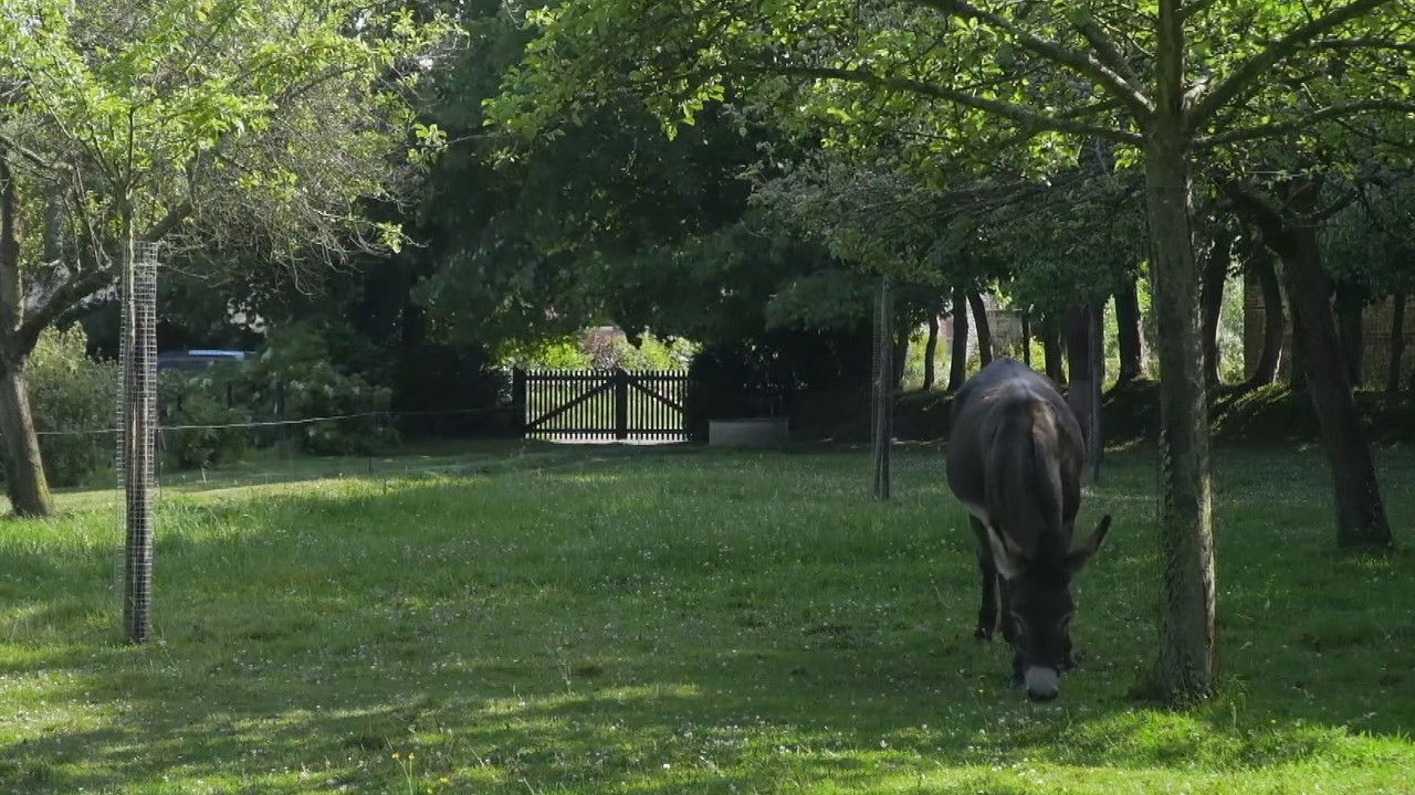 I Am Pierre Creton, Normand and Filmmaker backdrop