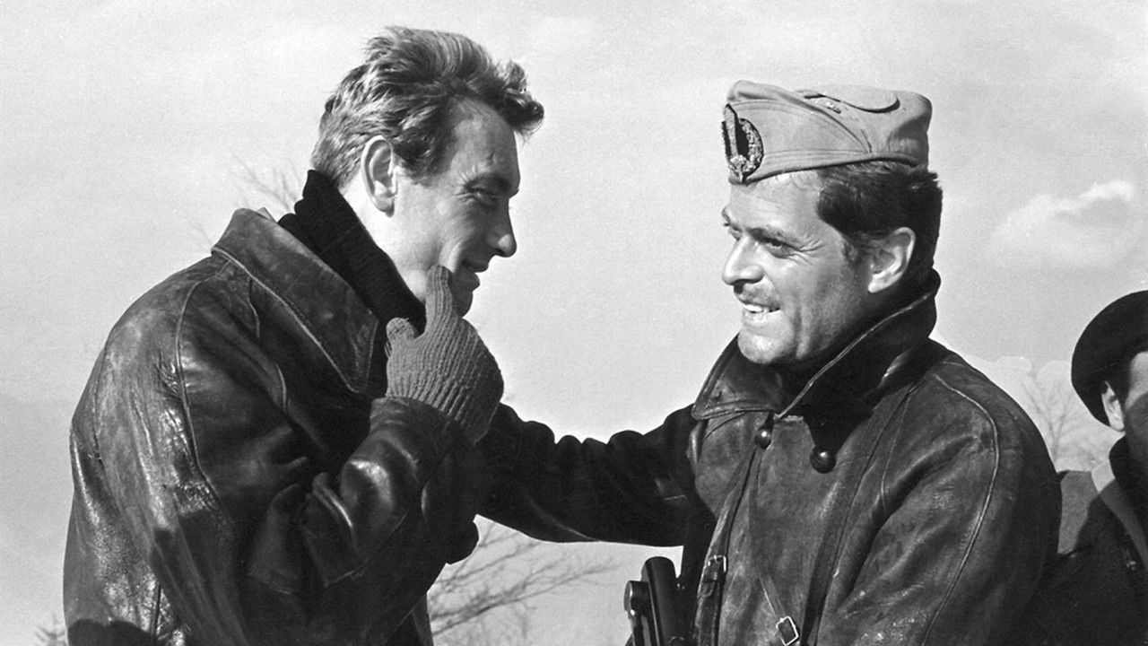 Pigeon Shoot backdrop