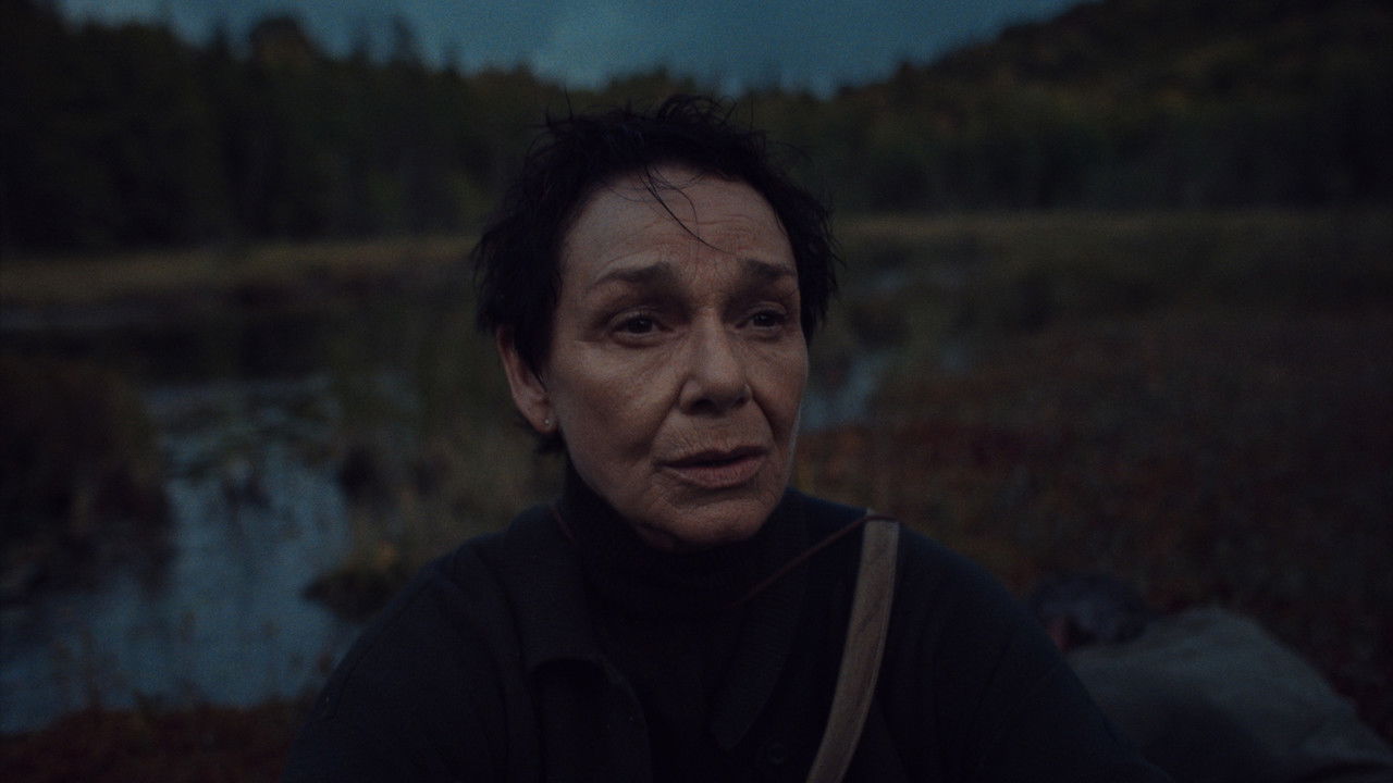 My Son Came Back to Disappear backdrop