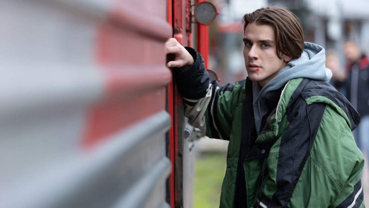 Система backdrop