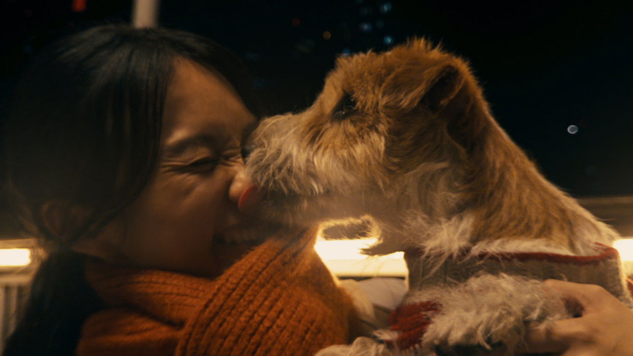 Glad I Met You backdrop