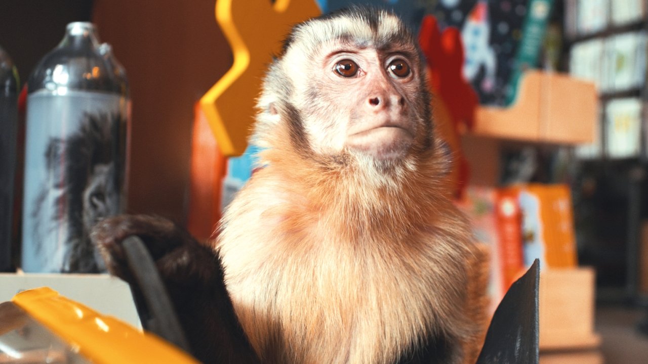 Akiko, the Flying Monkey backdrop