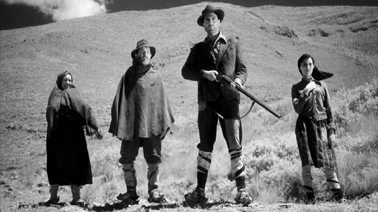 Under the Olive Tree backdrop