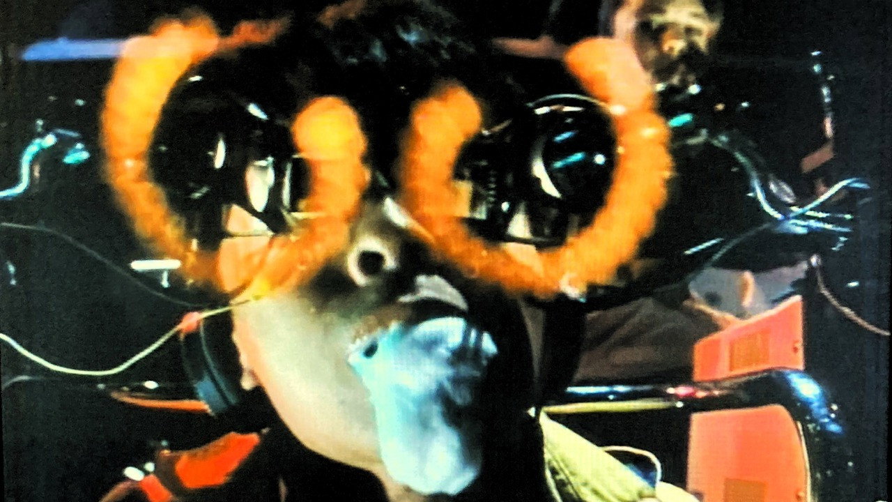 It's All Right, My Friend backdrop