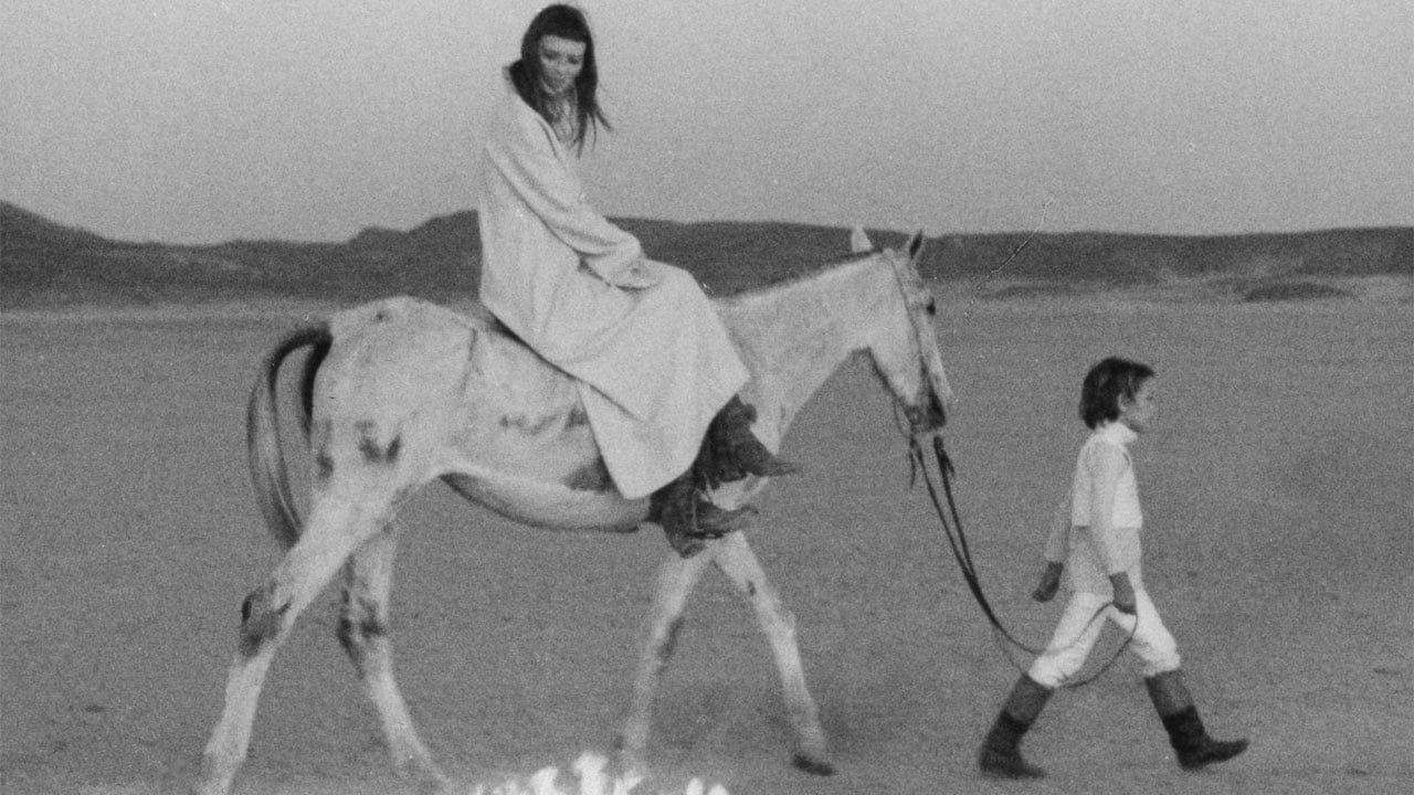 Nico Live in Marseille backdrop
