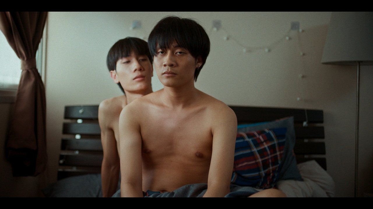 Squid bottom the top backdrop