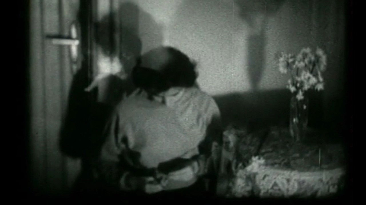 Sunflowers (Prelude, Taenia, Adventure, My Lady) backdrop