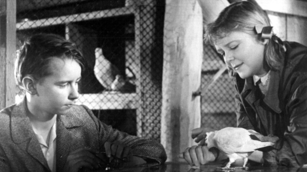 Faithful Hearts backdrop