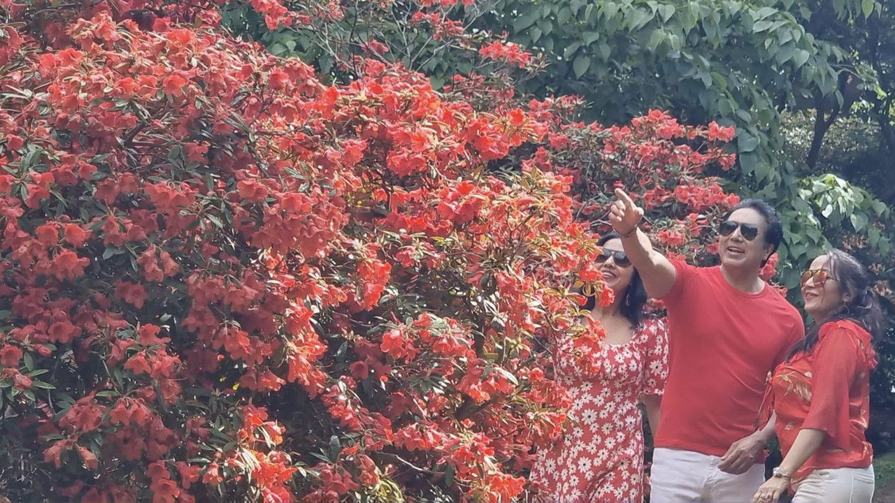 Virginia Water Lake backdrop