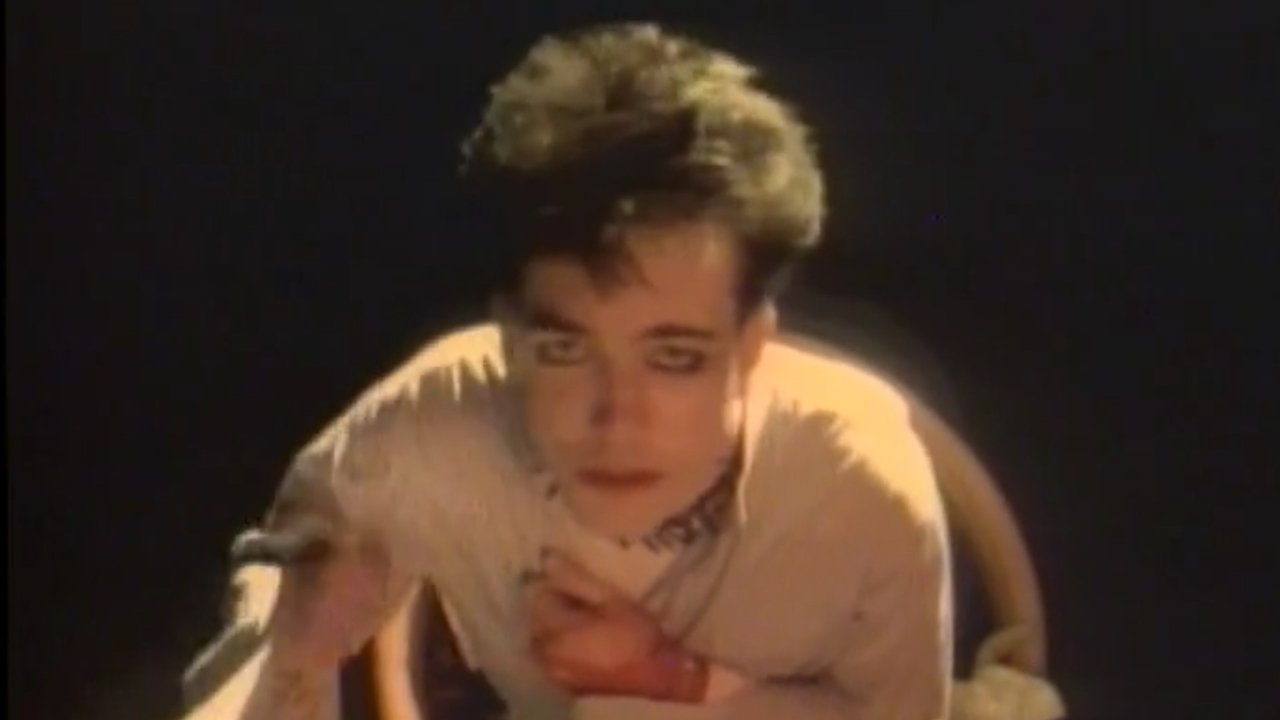The Cure : Staring At The Sea - The Images backdrop