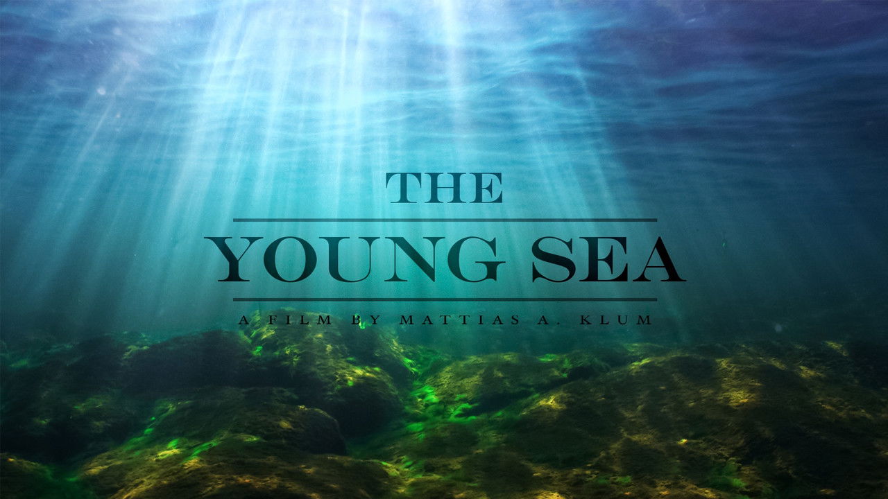 The Young Sea backdrop