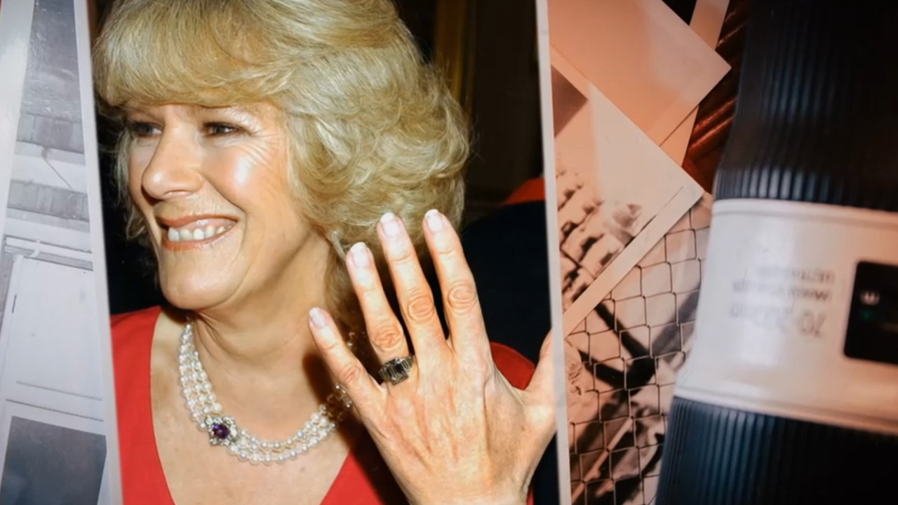Queen Camilla: the Wicked Stepmother? backdrop