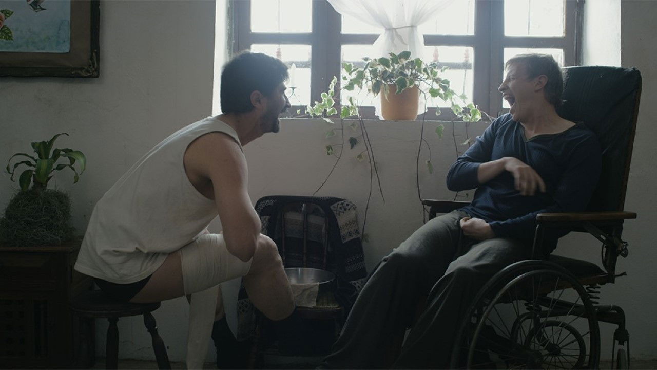 Nubes grises soplan sobre el campo verde backdrop