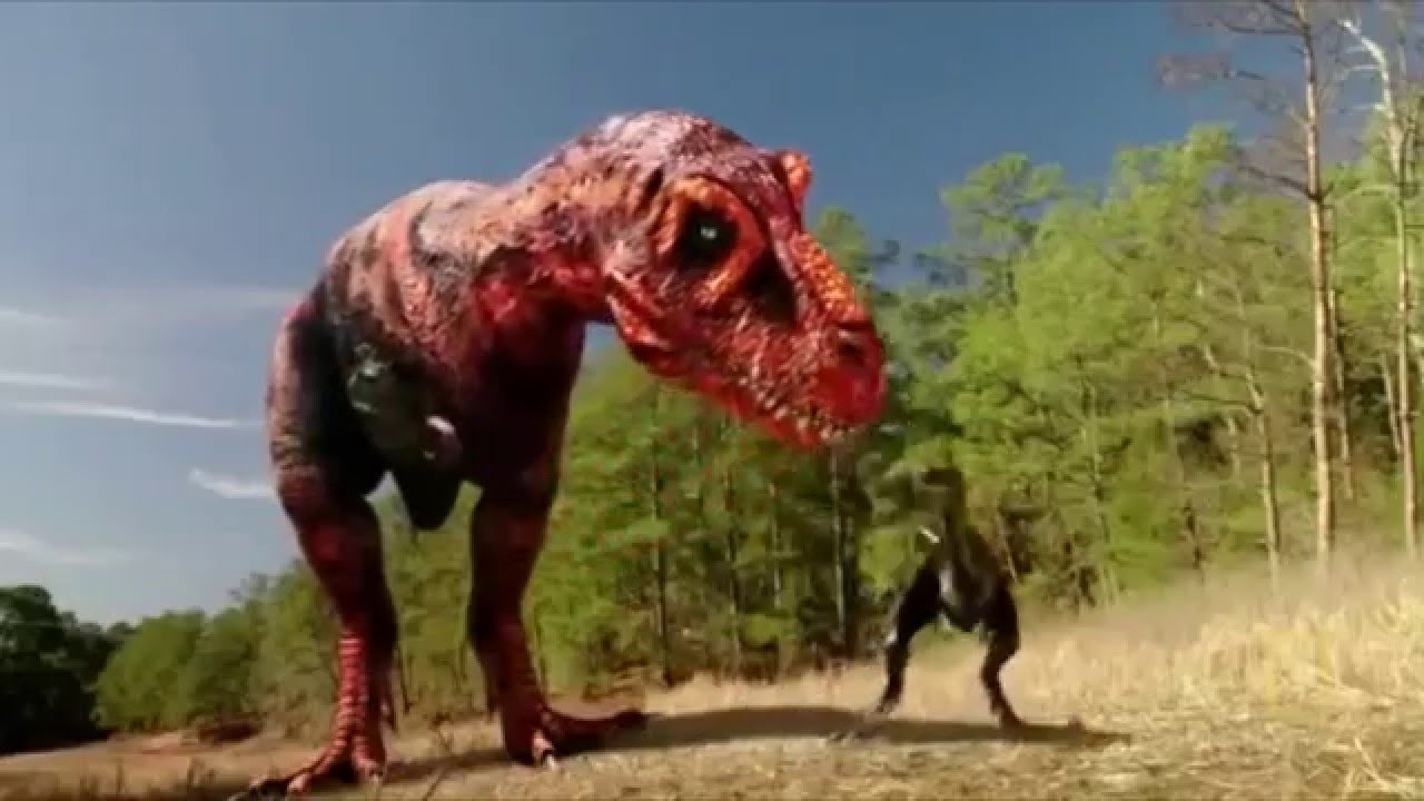 Dinosaurs Decoded backdrop