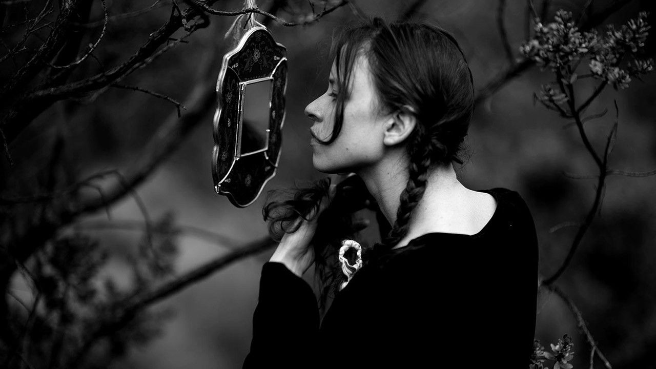 Chuquiragua backdrop