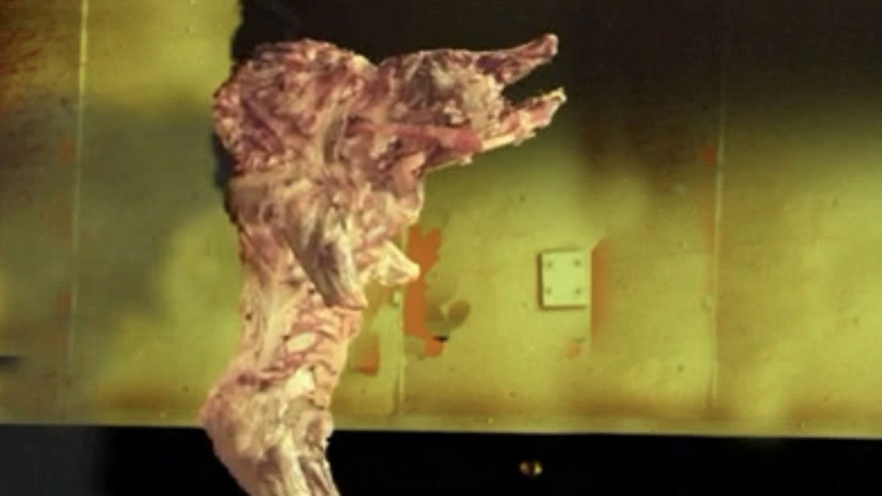 The Pig Walks backdrop