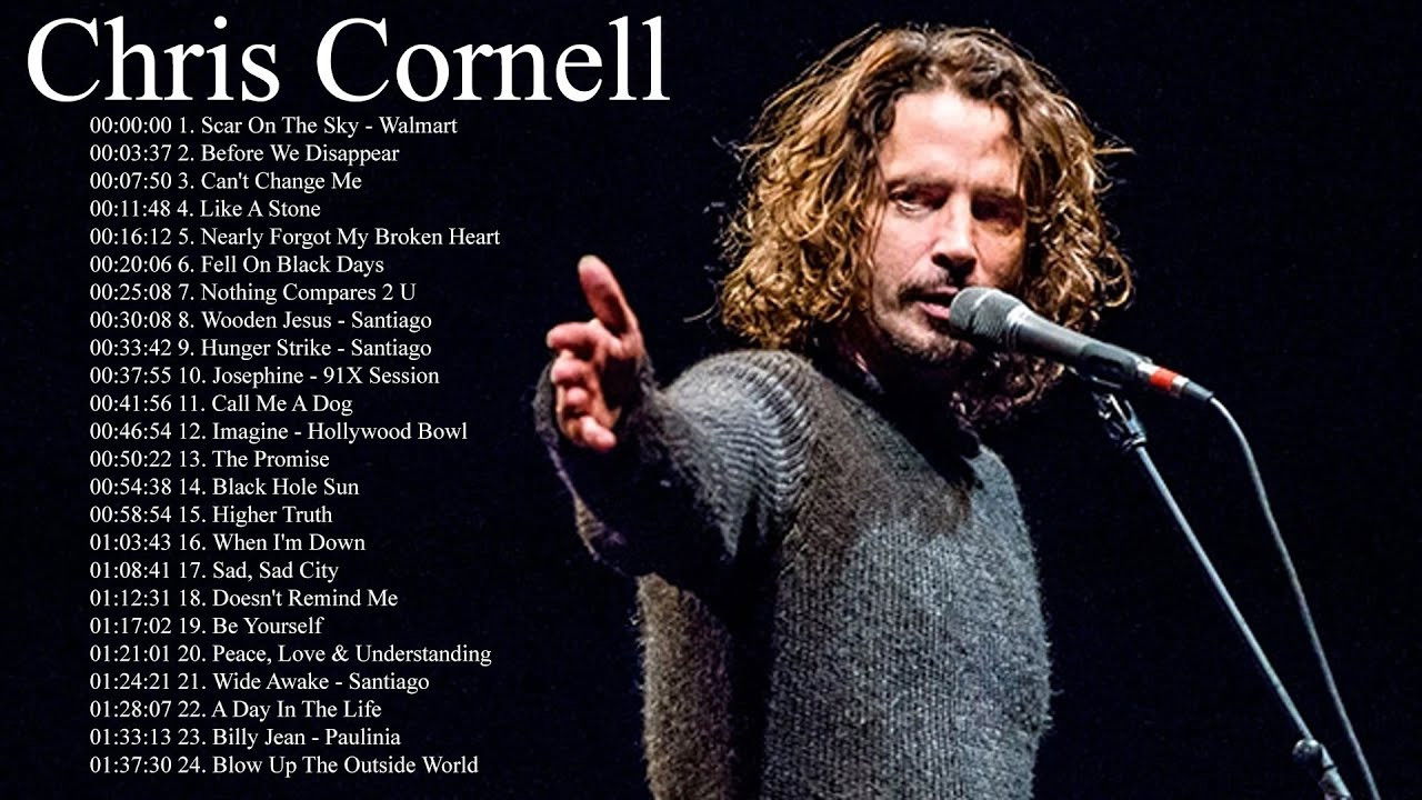 Chris Cornell - Pro Shot - Acoustic Live backdrop